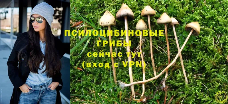 Галлюциногенные грибы Cubensis  Бирск 